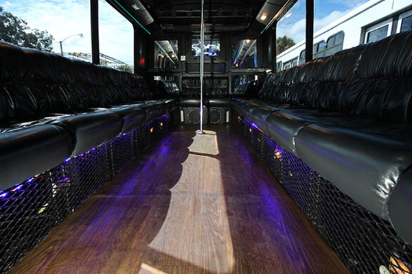 18 passenger party bus