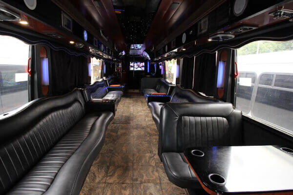 45 passenger party bus rental